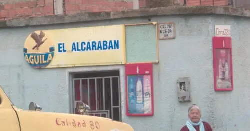 EL ALCARAVAN EL ALCARAVAN